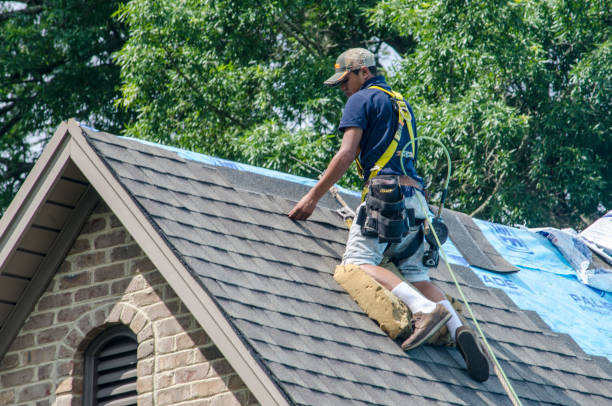 Quick and Trustworthy Emergency Roof Repair Services in Gonzales, TX